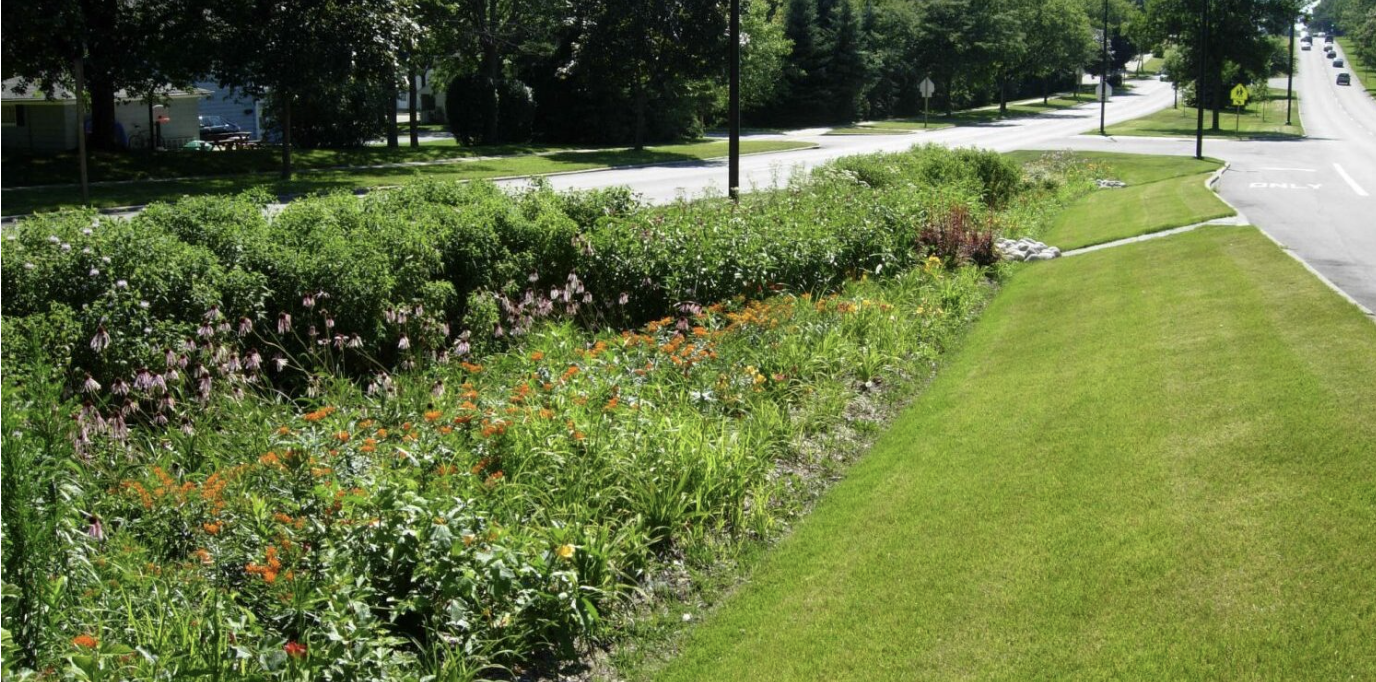 Vision for Green Stormwater in the Region